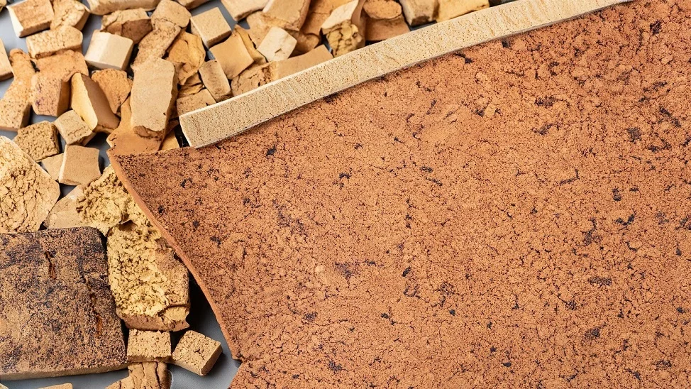 Cork Leather