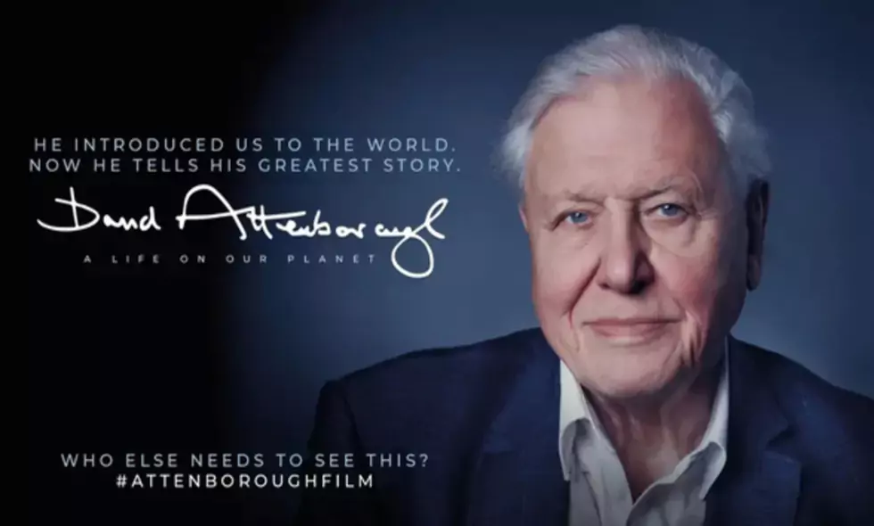 David Attenborough: A life on our planet