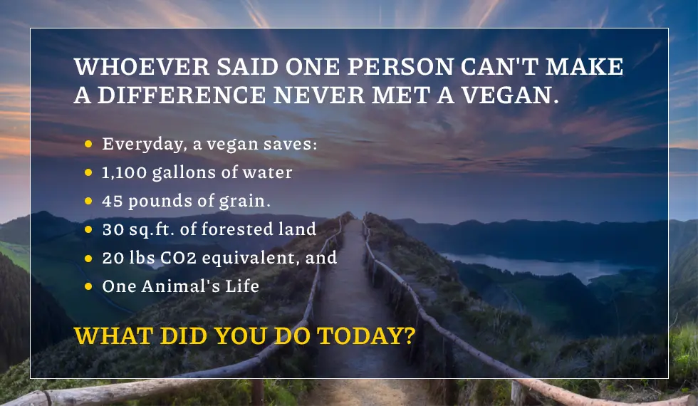 Energy consumption - What difference can one person make by going vegan?