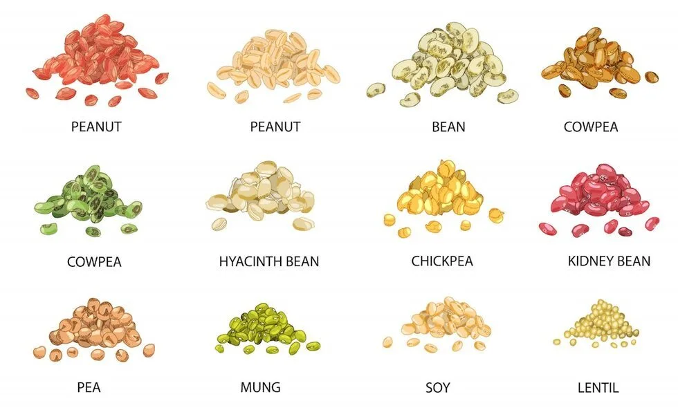 Legumes