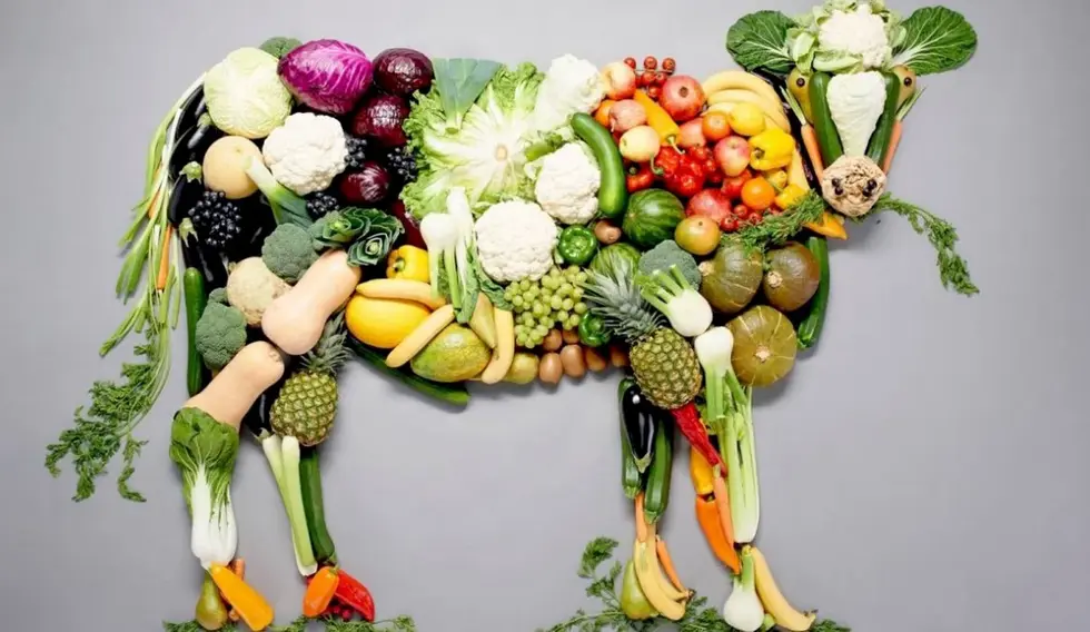 Vegetables Cow