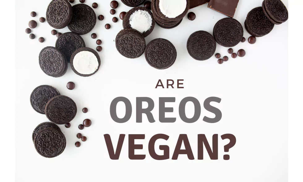 Vegan Ice Cream
