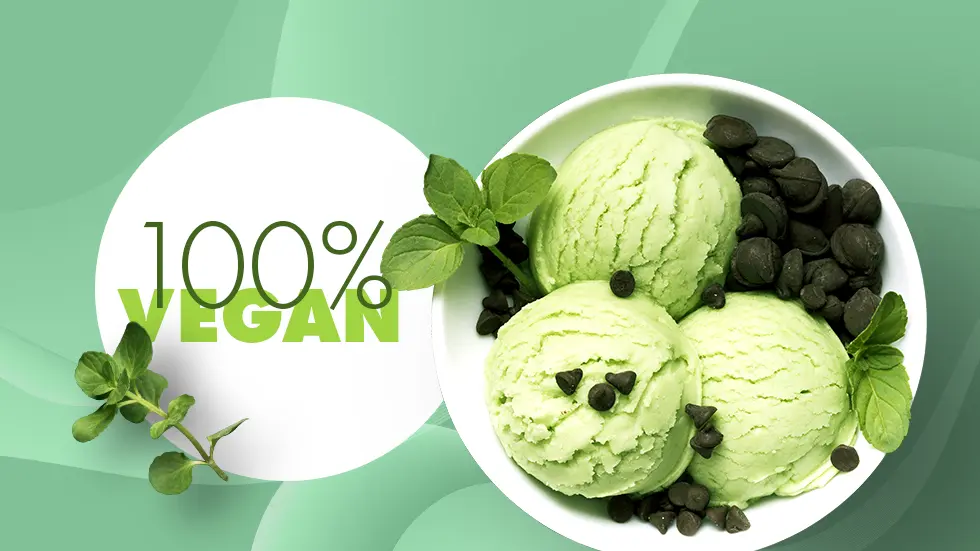 Vegan Ice Cream